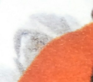 KIMG1074