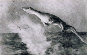 f5dda342.jpg