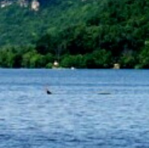 Screenshot_2016-05-22-06-57-03