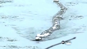 Screenshot_2016-02-19-01-48-11