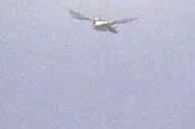 f8dfdc5a.jpg