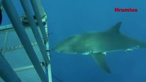 Screenshot_2015-12-22-18-27-05