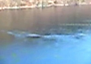 Screenshot_2016-02-02-14-33-12