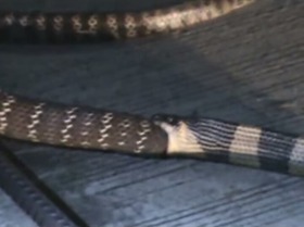 Screenshot_2015-11-20-13-31-57