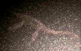 Screenshot_2016-06-18-15-57-02