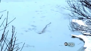 Screenshot_2016-02-19-01-49-16