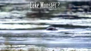 Screenshot_2016-06-27-19-42-58