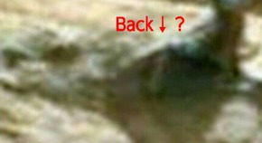 Screenshot_2016-01-16-12-12-55