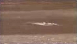 Effectplus_20160228_134626