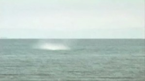 Screenshot_2016-05-27-05-29-03