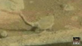 Screenshot_2015-10-31-10-11-21