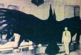 fdadc88b.jpg
