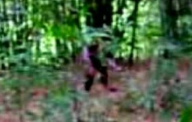 Effectplus_20151013_131905