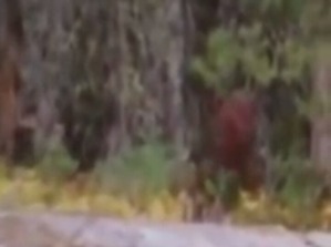 Screenshot_2016-03-17-07-06-16