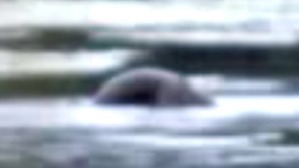 Screenshot_2016-06-27-19-47-51