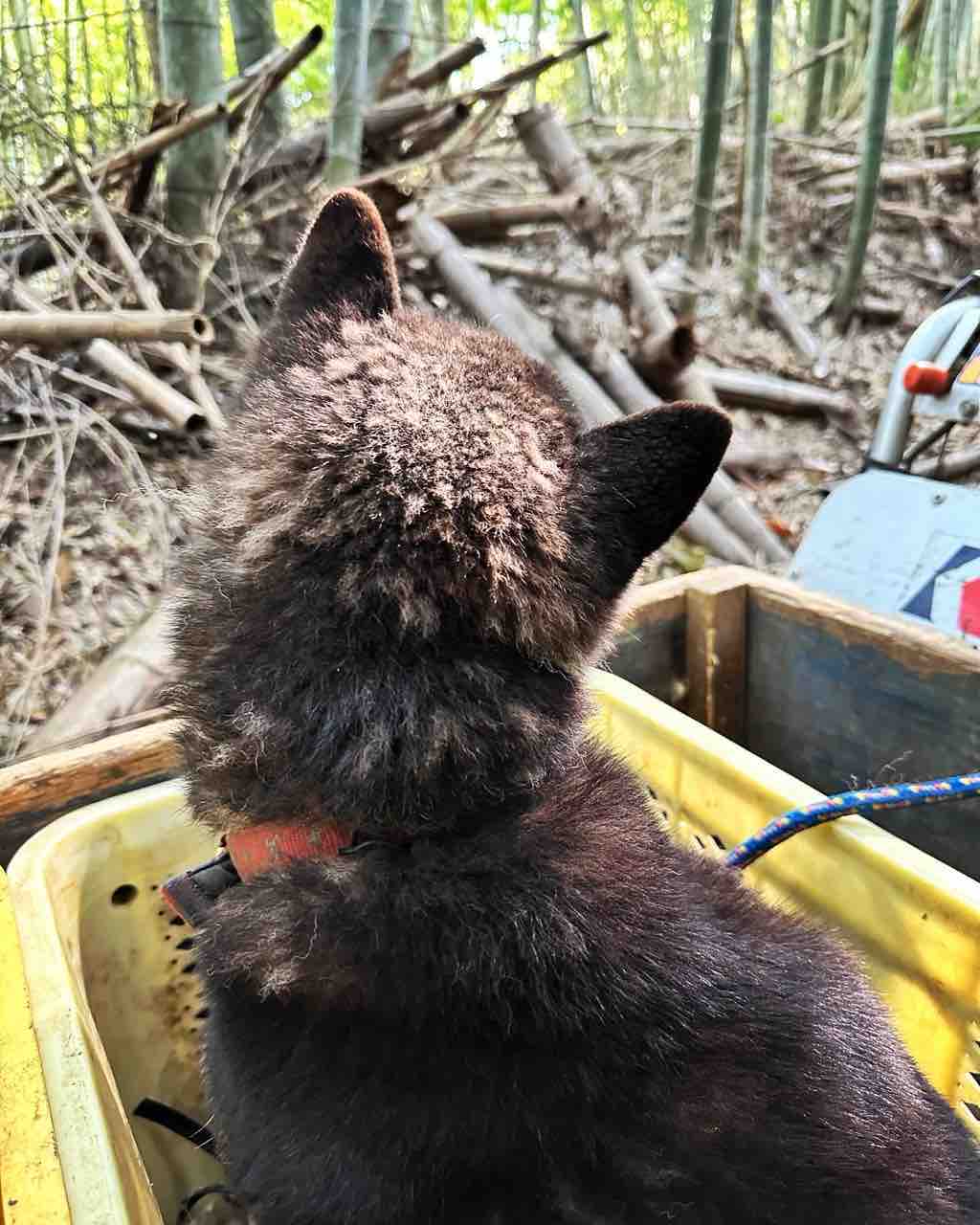 IMG_4067
