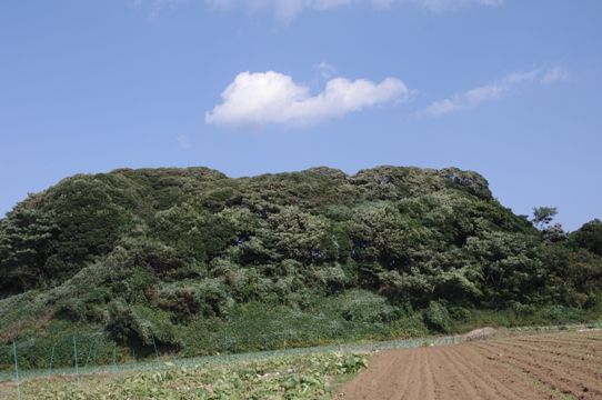野菜直売高梨農場農場通信ブログ版