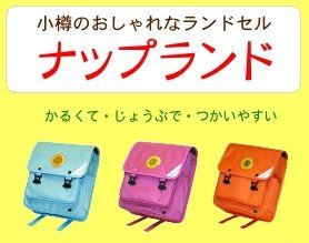 bagtop2