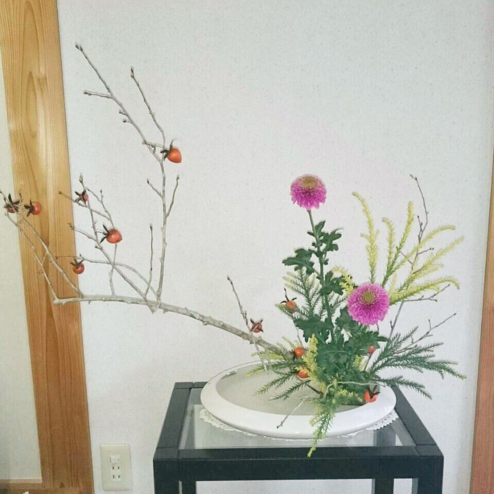 今日のいけばな ロウア柿 雪冠杉 ピンポン菊 一日一花 今日のいけばな ロウア柿 雪冠杉 ピンポン菊 一日一花