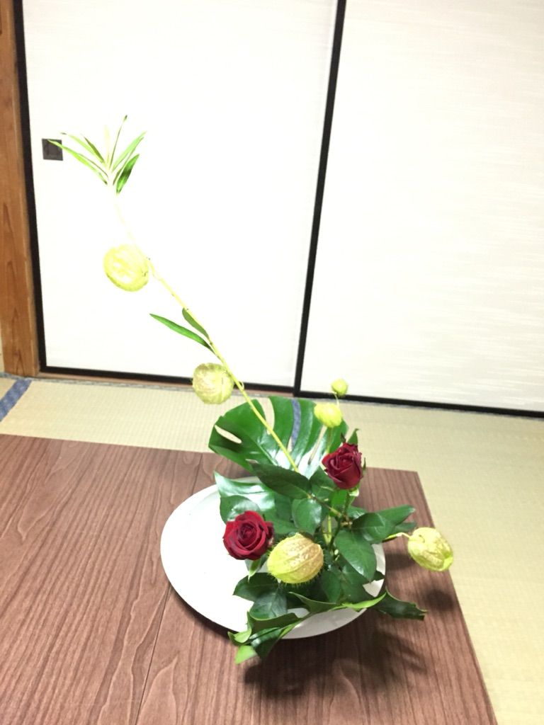 今日のいけばな フウセントウワタ 一日一花