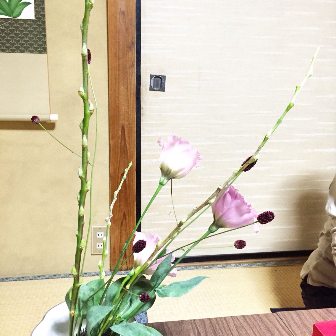 赤目柳 バラ ソリダコ ひらくかたち 一日一花 赤目柳 バラ ソリダコ ひらくかたち 一日一花