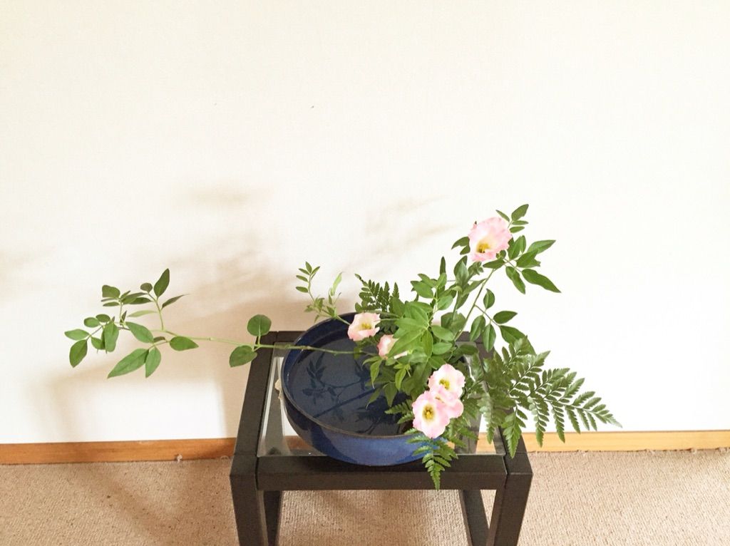 今日のいけばな そけい トルコキキョウ レザーファン 観水型 一日一花