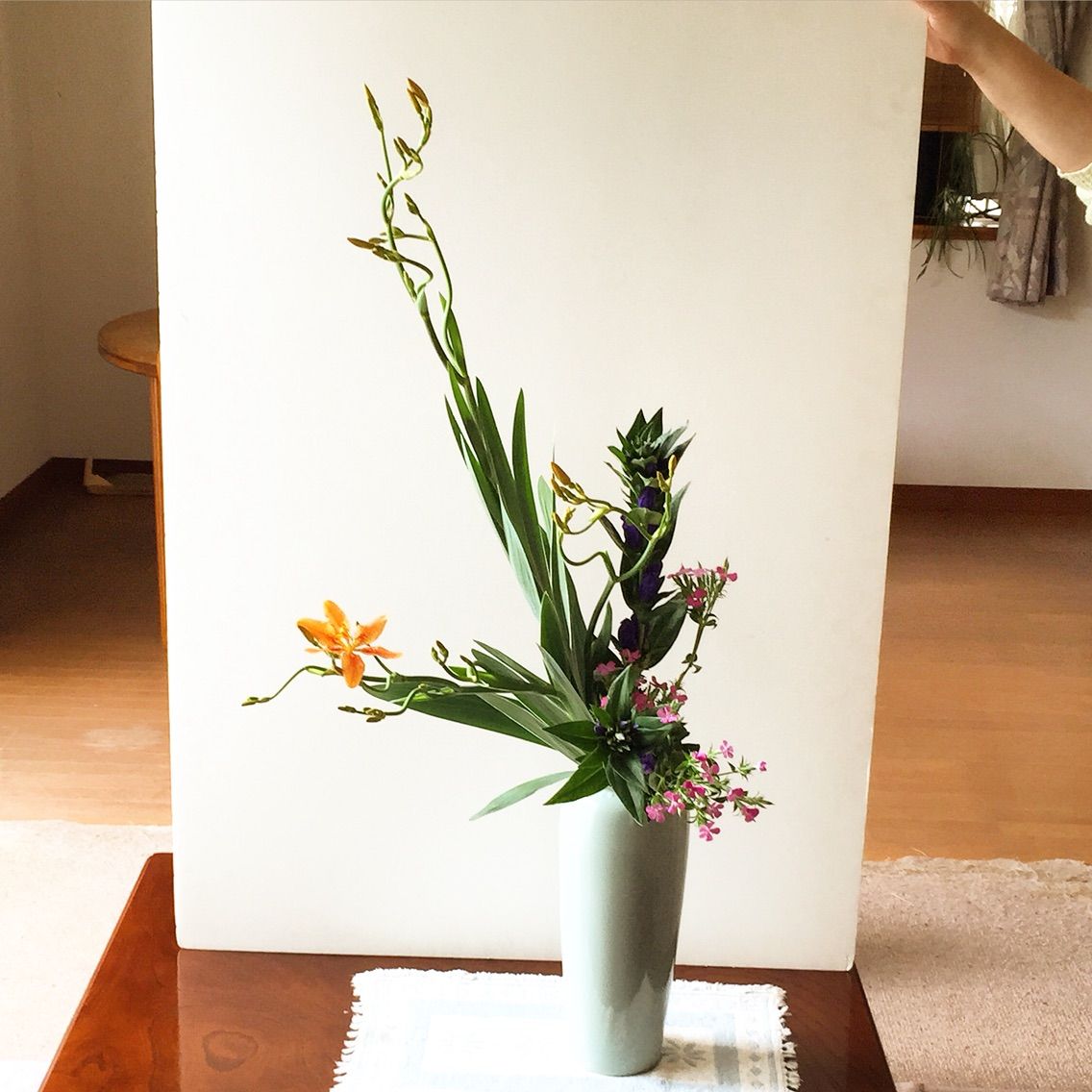 檜扇 ヒオウギ 竜胆 リンドウ 撫子 一日一花