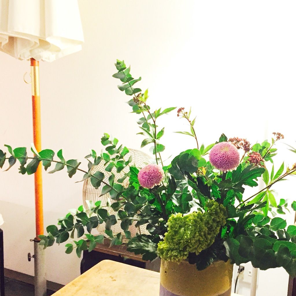 ミニブーケを植木鉢にいける ピンポン菊 ユーカリ 鶏頭 藤袴 一日一花 ミニブーケを植木鉢にいける ピンポン菊 ユーカリ 鶏頭 藤袴 一日一花