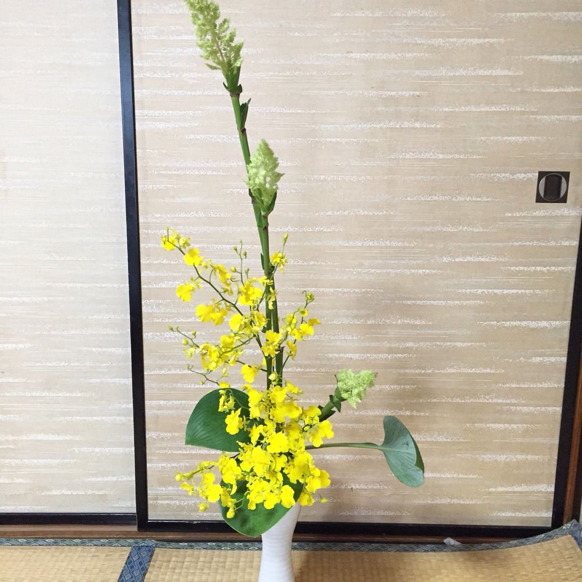 粟 オンシジュウム ぎぼうし たてるかたち 瓶にいける 一日一花 粟 オンシジュウム ぎぼうし たてるかたち 瓶にいける 一日一花