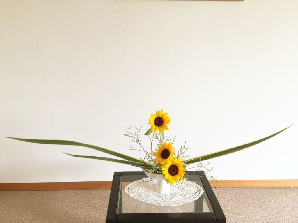 星のいけばな 今日のいけばな。 四角草 ひまわり ゴットセフィアーナ : 一日一花