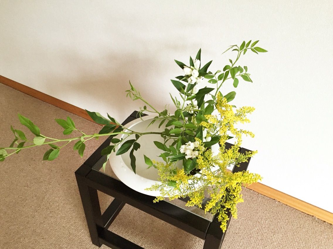 そけい りんどう ソリダコ 観水型 一日一花 そけい りんどう ソリダコ 観水型 一日一花
