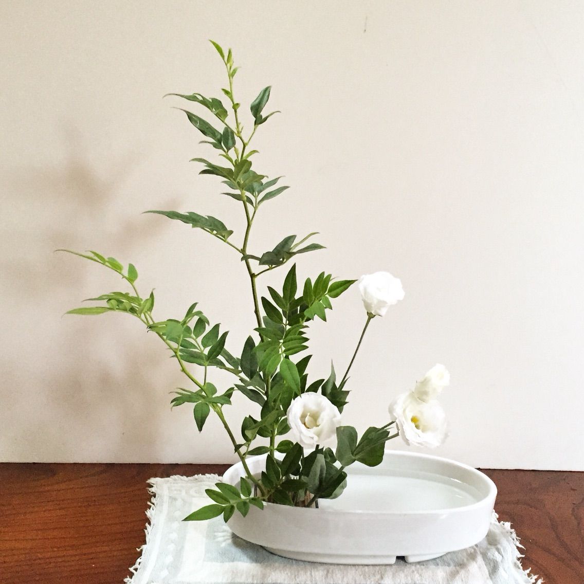 そけい トルコキキョウ 直立型 一日一花