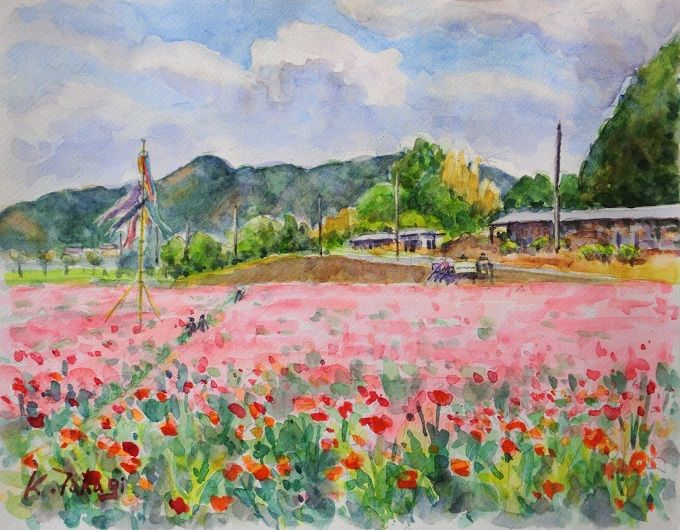 ポピー花畑 ｔａｋａの新風景画２