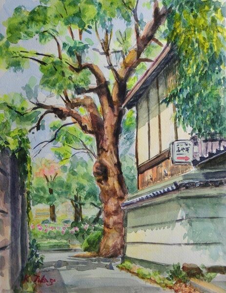 クスノキ　水彩画 大きなクスノキ : takaの新風景画2