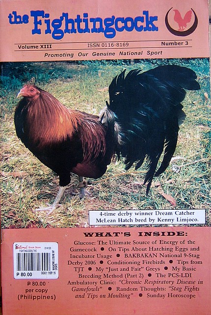 闘鶏 Cock Fighting フィリピン退屈日記