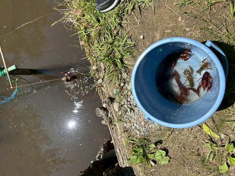 LINE_ALBUM_2025720-21 サマーキャンプ_250726_22