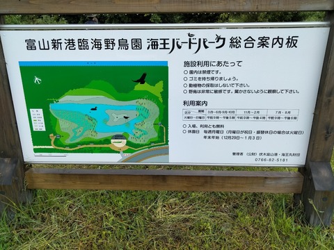 LINE_ALBUM_202462 海王丸パーク_240605_27
