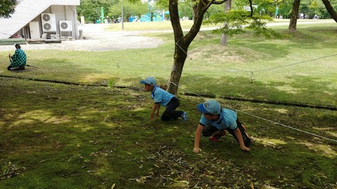 LINE_ALBUM_2024519 県大会_240520_7