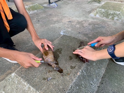 LINE_ALBUM_20250817 野外料理_250828_12