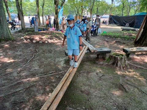 timeline_20220619_163516