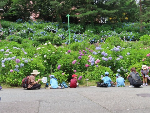 LINE_ALBUM_2023618 ビーバー大集会_230621_43