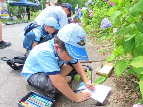 LINE_ALBUM_2023618 ビーバー大集会_230621_41