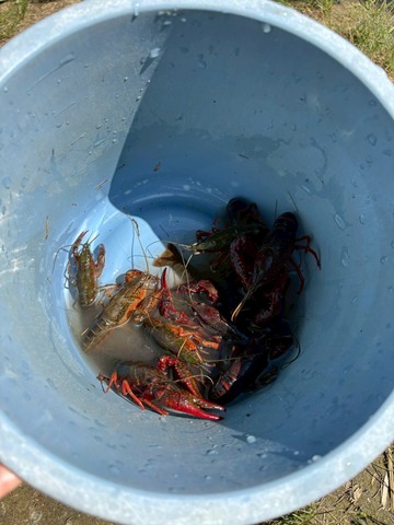 LINE_ALBUM_2025720-21 サマーキャンプ_250726_49