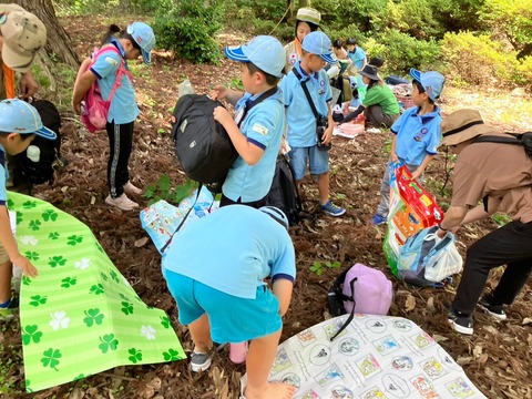 LINE_ALBUM_2024616 ビーバー大集会_240618_23