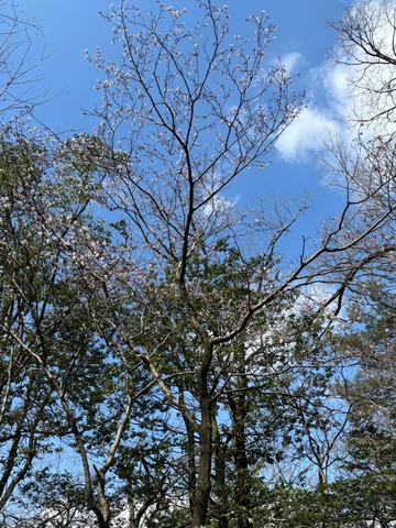 LINE_ALBUM_2025320 おわかれ隊集会_250325_1