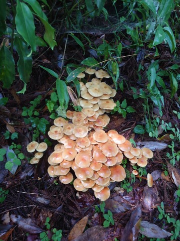 LINE_ALBUM_2024714~15 サマーキャンプ_240716_28