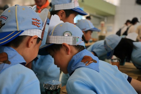 LINE_ALBUM_2024519 県大会_240520_97