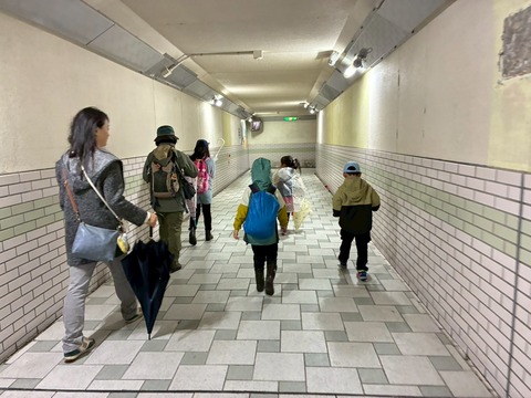 LINE_ALBUM_2025111 電車に乗ってハイキング_251104_18