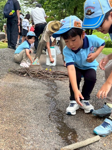 LINE_ALBUM_第68回県大会_260614_67