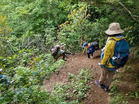 LINE_ALBUM_2022.5.15 城ヶ平山登山_220516_130